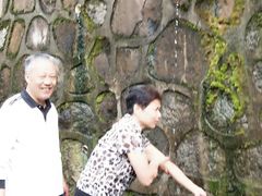 -杭州半山国家森林公园