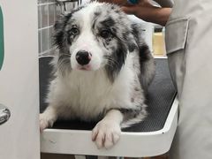 -它主义宠物(梁溪万达店)