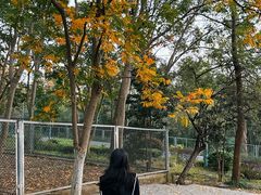 -合肥野生动物园