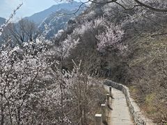 -北京凤凰岭