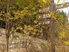 -阳台山自然风景区
