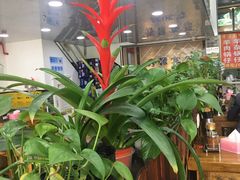 -豫掌柜饸饹面·烩面(秀沿路店)