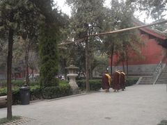 -洛阳白马寺