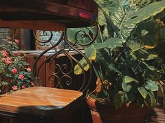-松茸小馆·云南特色餐厅