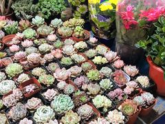 -大学城夜市大排档(凤栖路店)