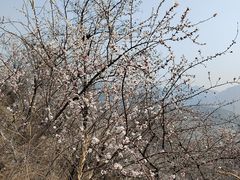 -妙峰山风景名胜区