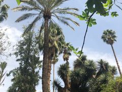 -马洛雷勒花园