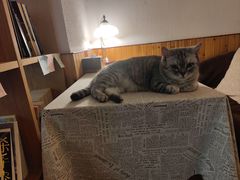 -隅cafe(傅厚岗店)