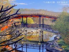 -顺峰山公园