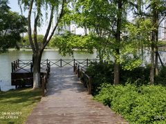-尚贤河湿地