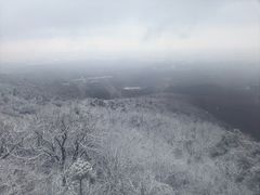 -紫金山山顶公园