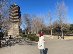 -玲珑塔公园