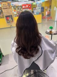 -东方麒麟·潘多拉SALON
