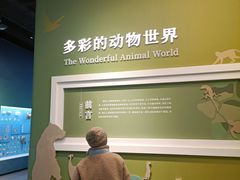 -国家自然博物馆