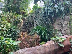 -北京植物园-展览温室