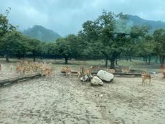 -西安秦岭野生动物园