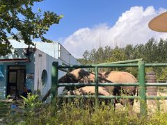 -秦皇岛野生动物园
