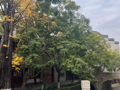 -龙潭水乡