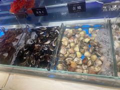 -加餐海鲜自助(宝龙一城店)