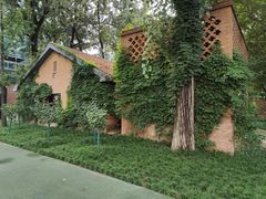 -西安电影制片厂