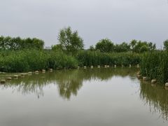 -绿堤公园