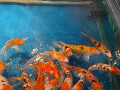-大明湖海底世界