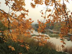 -北京植物园南门售票处