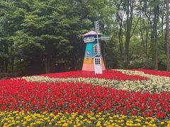 -上海共青森林公园