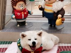 -太古广场