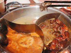 -大龙燚·旷野鲜火锅(广州首店)