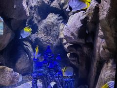 -成都浩海立方海洋公园