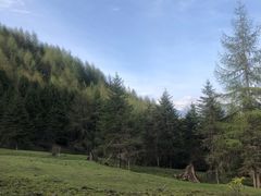 -硗碛藏寨·神木垒景区