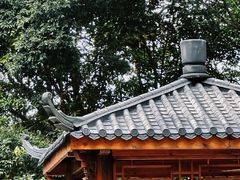 -马峦山郊野公园
