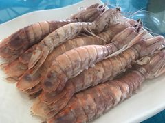 -御唐府海珊瑚主题餐厅