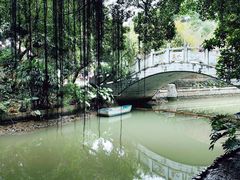 -小洲村
