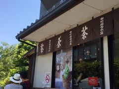 -中村藤吉(本店)