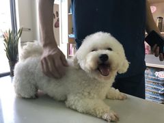 -爱诺耐芙动物医院(万博店)