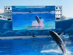 -上海海昌海洋公园
