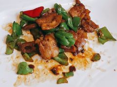 -乐和餐饮(活力源店)