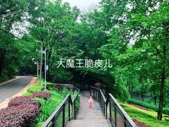 景点-阿哈湖国家湿地公园