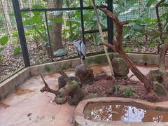 -海南热带野生动植物园