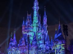 -奥兰多迪士尼动物王国乐园