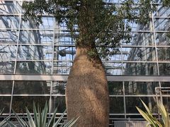 -南山植物园