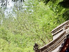 -西安曲江寒窑遗址公园