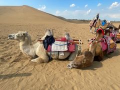 -银肯塔拉沙漠生态旅游景区