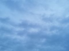 -东河市场