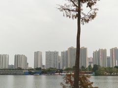 -飞来湖湿地公园