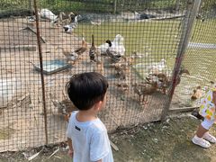 -前小桔亲子创意农场·草莓采摘·露营烧烤