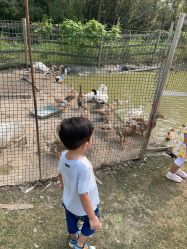 -前小桔亲子创意农场·草莓采摘·露营烧烤