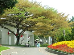 -深圳国际园林花卉博览园